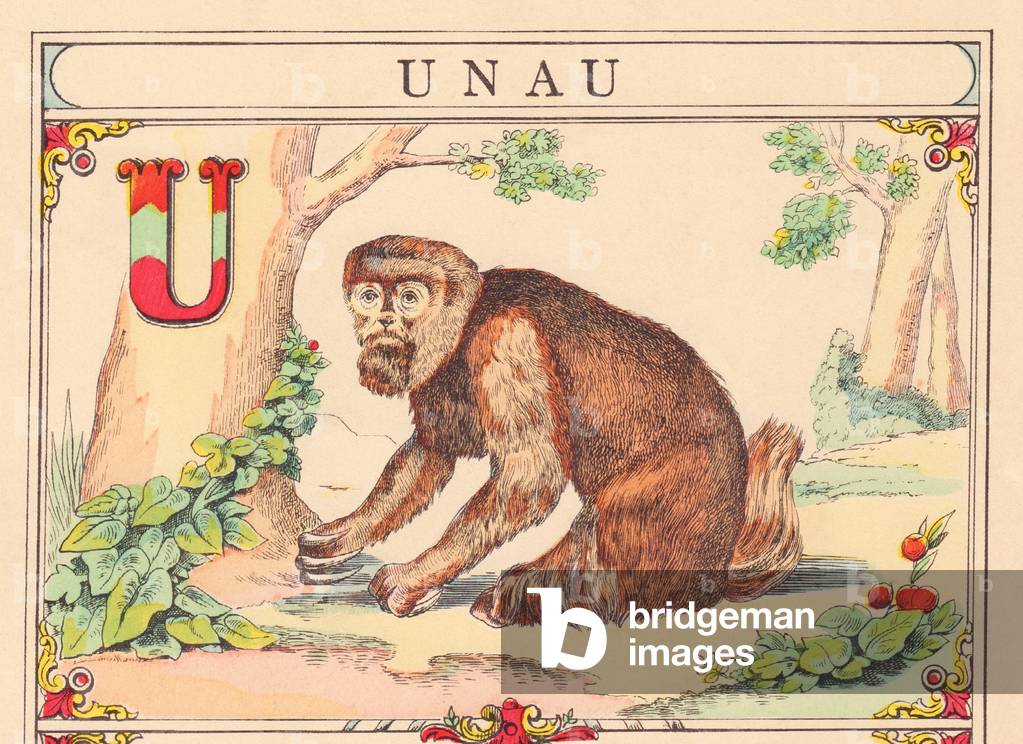 Bild von Gravur "D: Unau" 1890 von French School