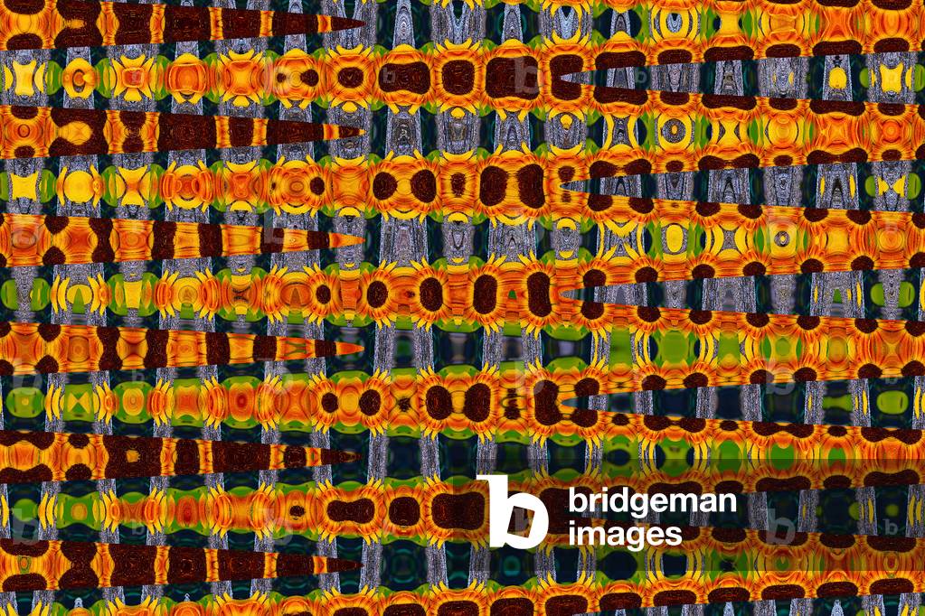 Girasole astratto 2, 2016 (foto)