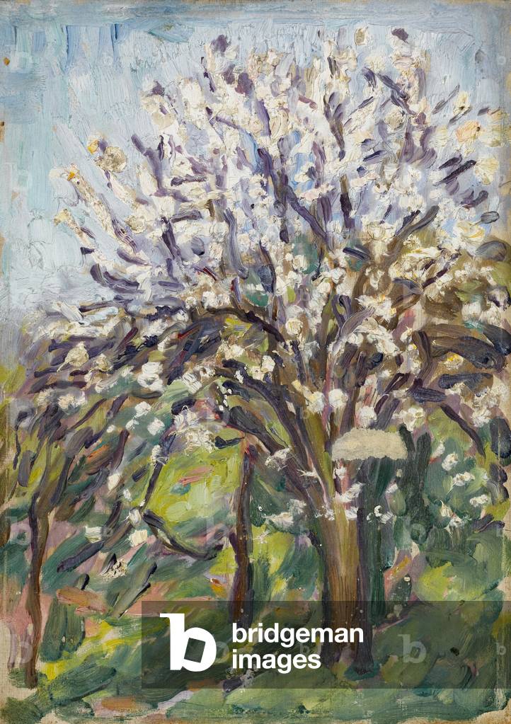 Mandelblüte am schrägen Rande, um 1910 (Öl auf Tafel)