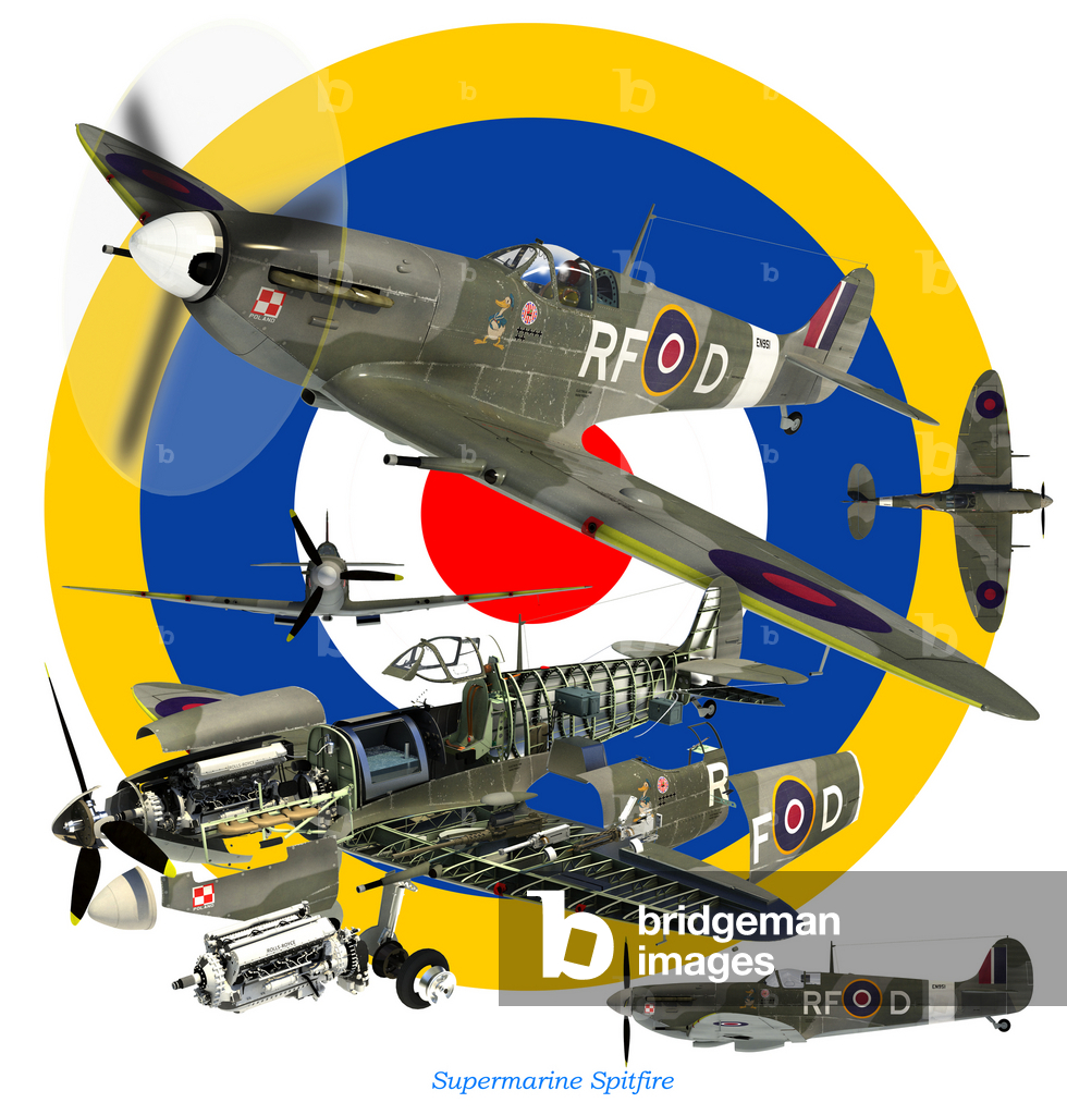 Spitfire (illustrazione)