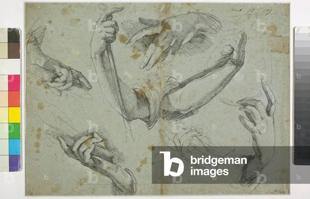 Immagine di Disegno "Studio di armi e di mani" di Bernardo Strozzi