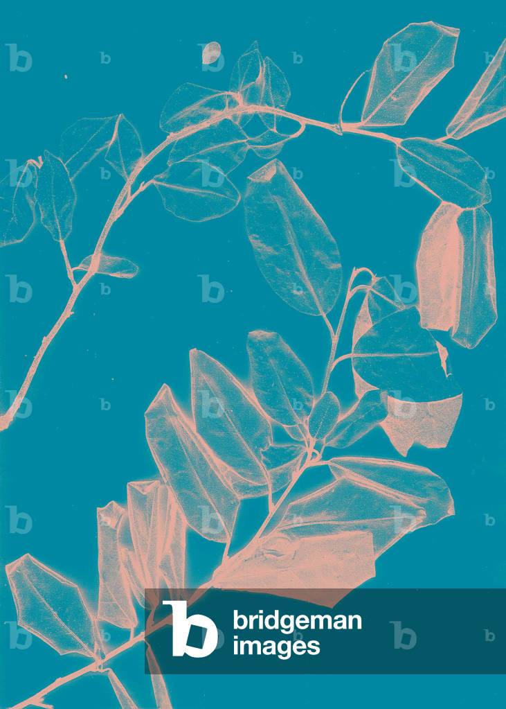 Freyr VI Dawn, 2018 (digital)