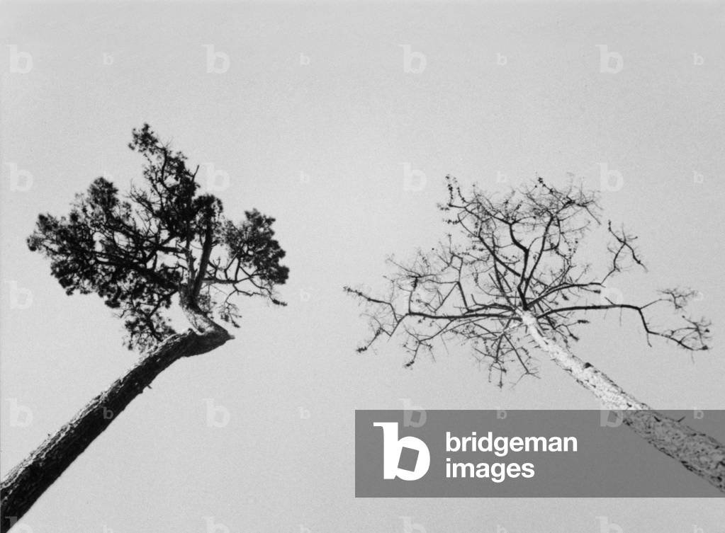 Little America 11 (s/w Foto)