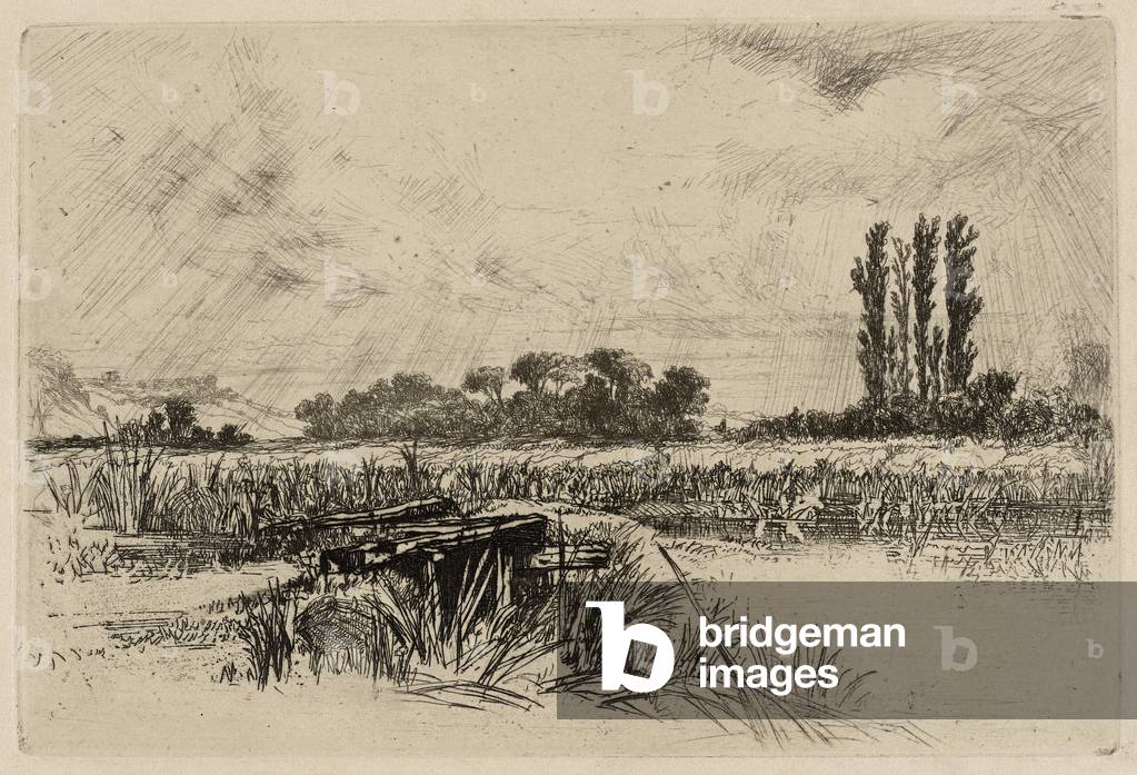 Bild von Gravur "Eine Wasserwiese" 1859 von Francis Seymour Haden, b/w