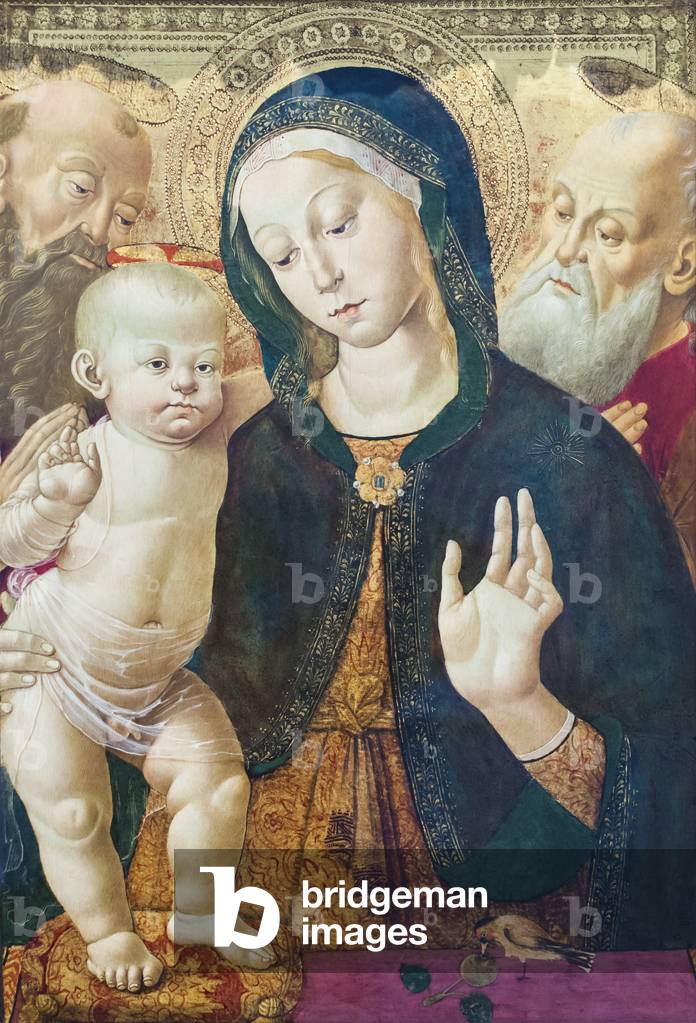Image of The Virgin and Child with Two Saints, c.1500 (oil on by Fungai ...