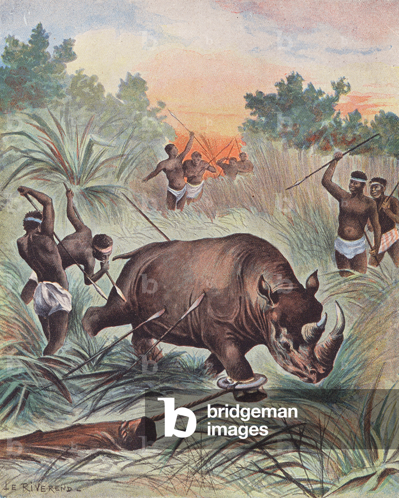 Image de Estampe représentant Chasse au rhinocéros en Afrique (lithographie couleur) 1901 par Laurence Louise 