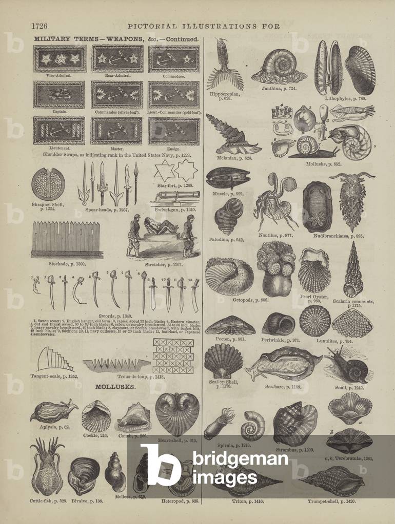 Pagina dal dizionario completo di Webster's (George Bell, 1877). (incisione)