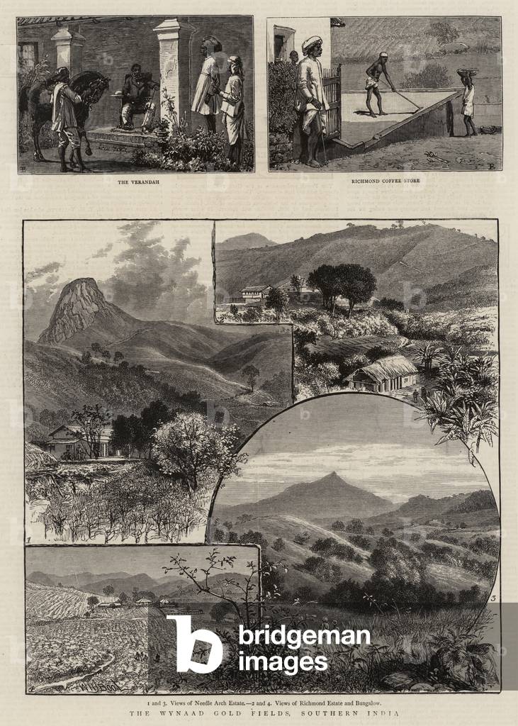 "il wynaad oro campi" di William Henry James Boot, b/w