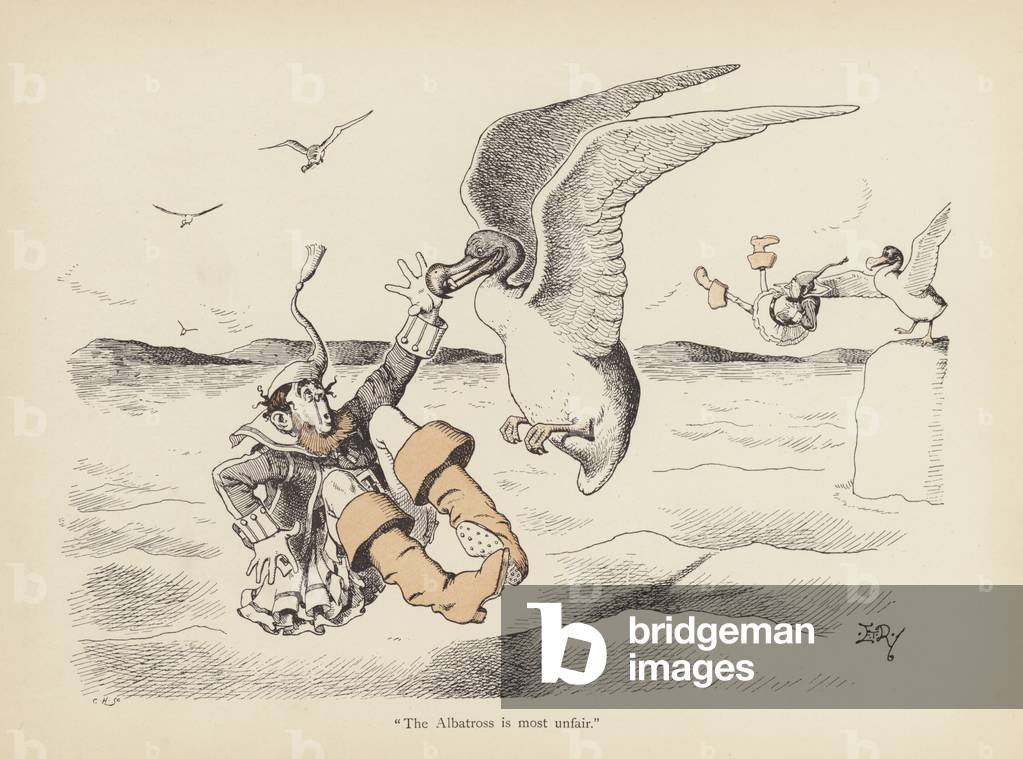 Tails with a Twist: The Albatross (lito a colori)