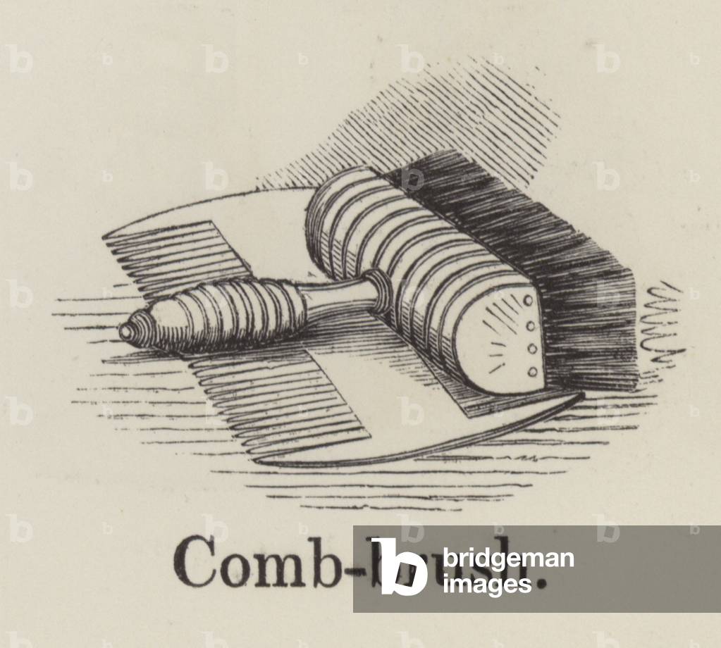 Comb brush (engraving) by English Artist