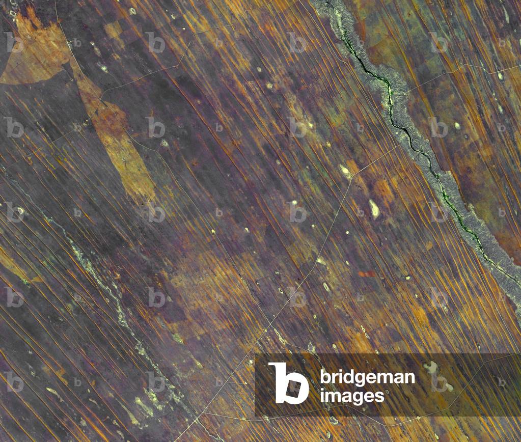 Namibia settentrionale, nota per le sue diffuse dune parallele nude e sinuose, la maggior parte delle quali di