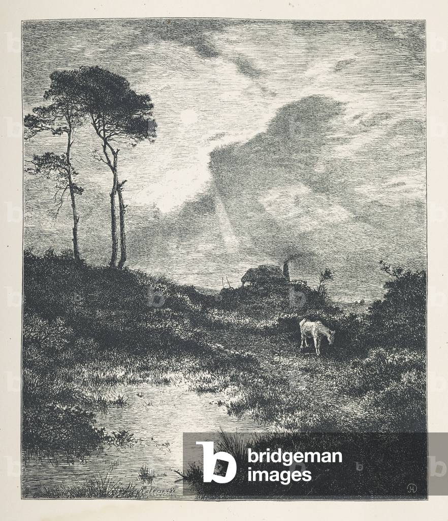 Piatto 15. Una scena pastorale. Immagini della natura. Una serie di trenta illustrazioni originali disegnate s