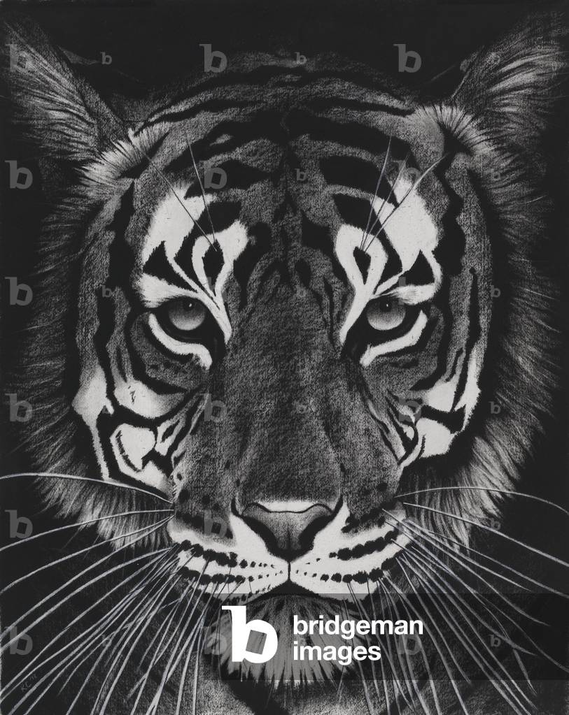 Image of Drawing depicting Tiger on black dream 2014 by Rose Corcoran, b/w