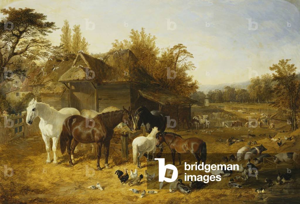 Ein Bauernhof mit pferden und ponys, Berkshire, Sattelrücken, Alderney Shorthorn Rinder, Bantams, Mallard und 