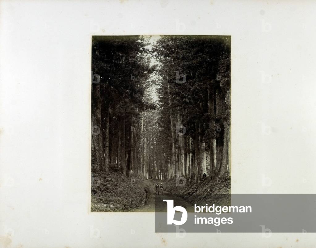 Image of Photography depicting Imachi by Baron Raimund von Stillfried