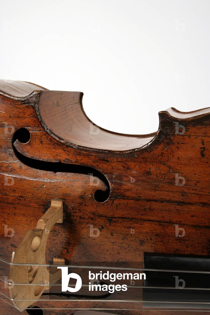 Détail de la contrebasse,