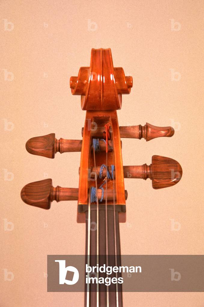 Image de Photographie représentant Tête de violoncelle avec cordes par Odile Noel