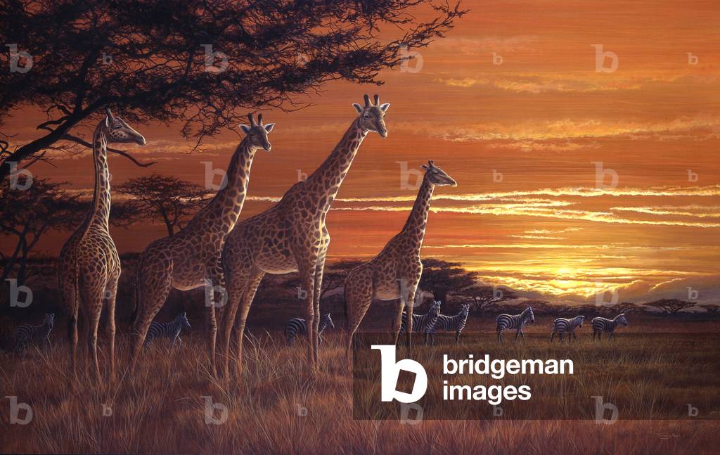 Savannah sundown, 1997 (acrilico su tavola)