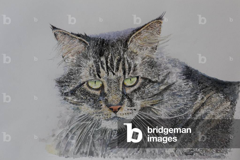Image of Painting depicting Pennsylvania Cat 2009 by Anthony Butera