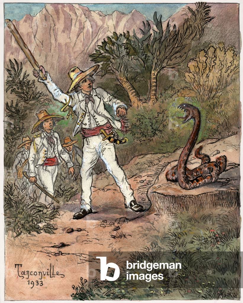 Snake attack by Henri-Garnier Tanconville