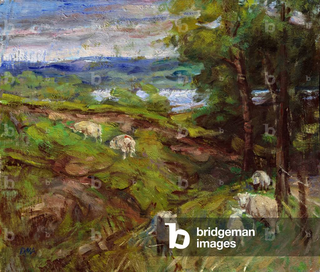 Immagine di Dipinto "All'inizio dell'estate oltre Llyntegid (olio su tavola)" di Diana Armfield