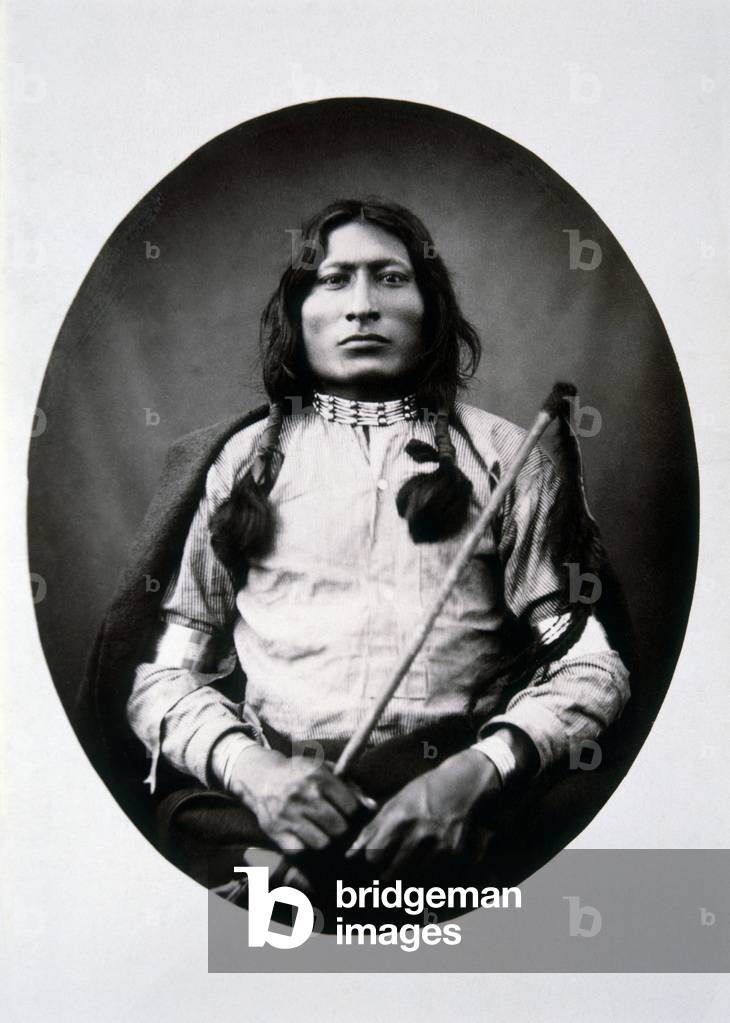 Bild von Fotografie "One Bull", c.1882 von Dix & Mead Bailey