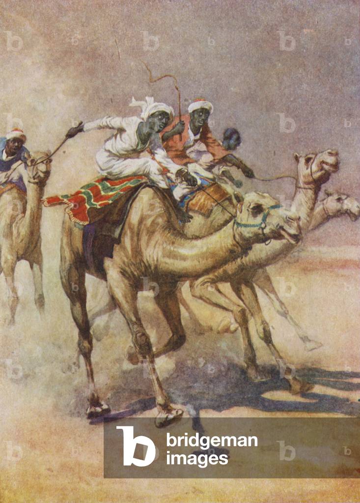 "The Camel Race (lito a colori)" 1901 di English School