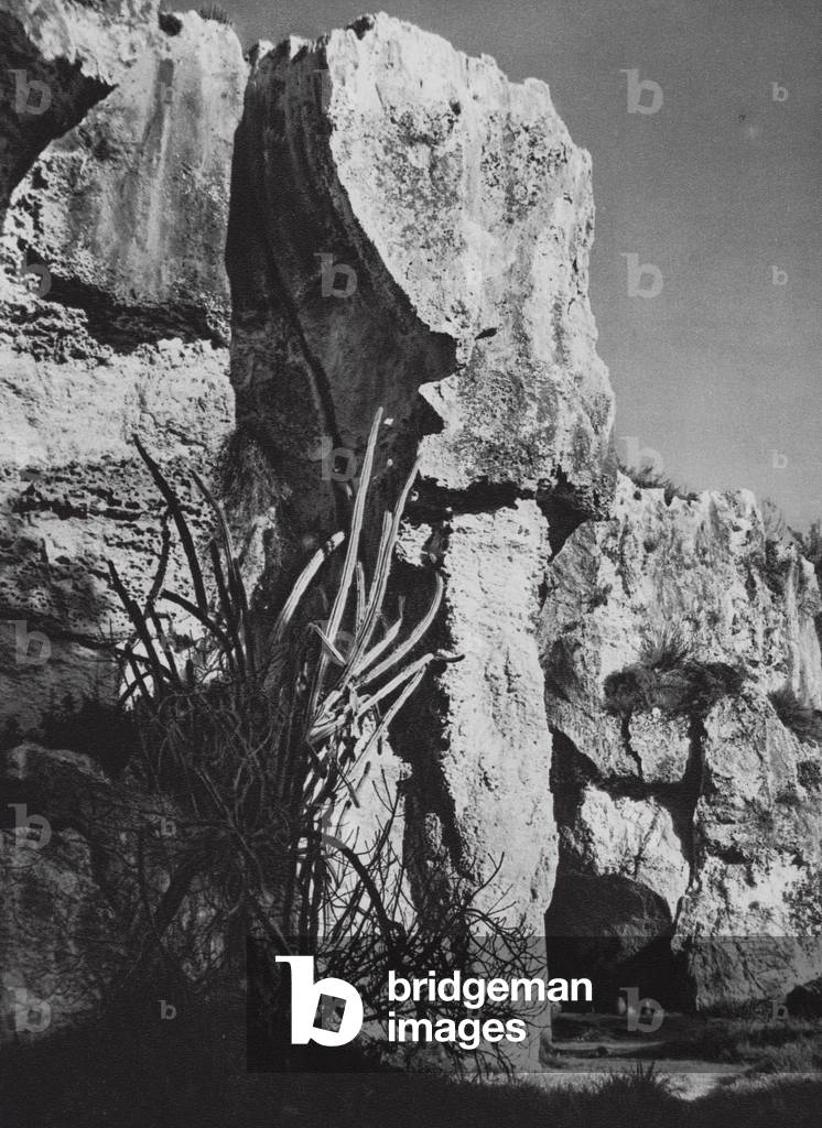 Siracusa, Cava Latomia Casale; Siracusa, cava Latomia Casale (foto b/n)