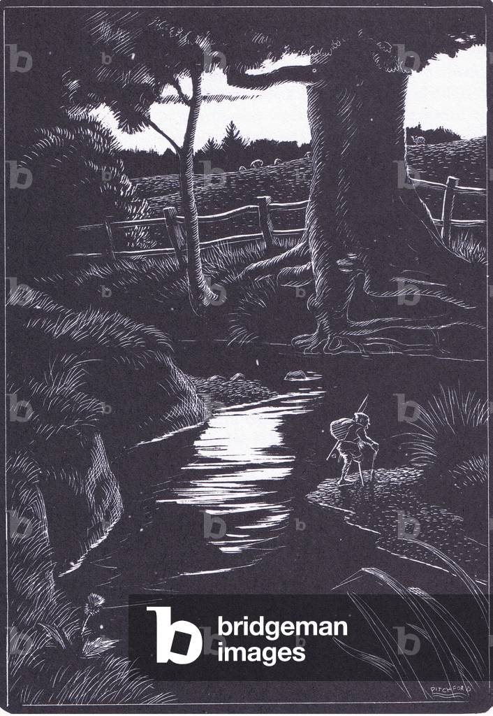 Immagine di Stampa "Dodder inizia il suo viaggio solitario sul Folly Brook"