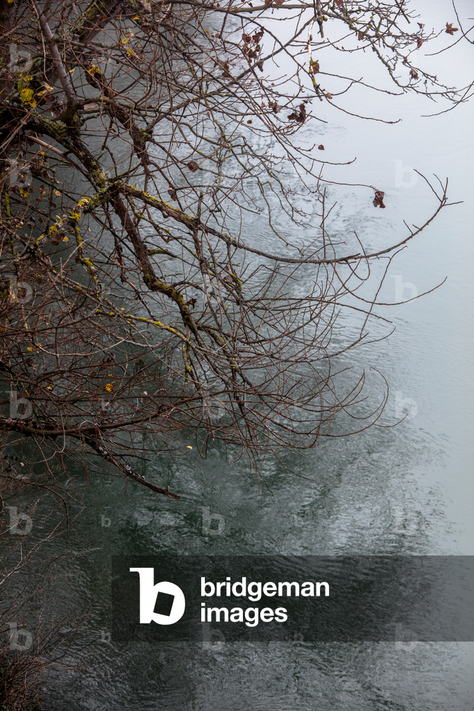 Image de Photographie représentant Arbres en bord de Garonne dans le brouillard par Bernard Bonnefon