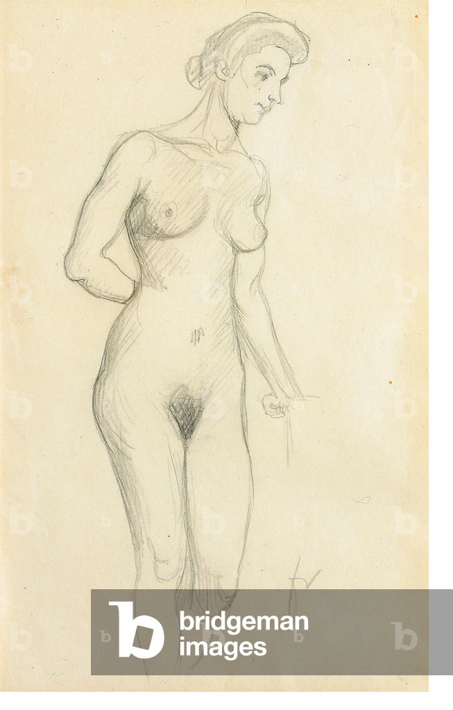 Nudo (matita su carta)