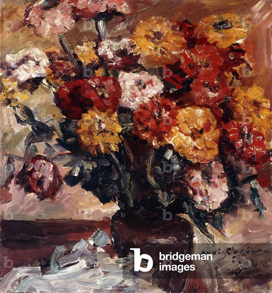 Zinnien, (olio su tela)