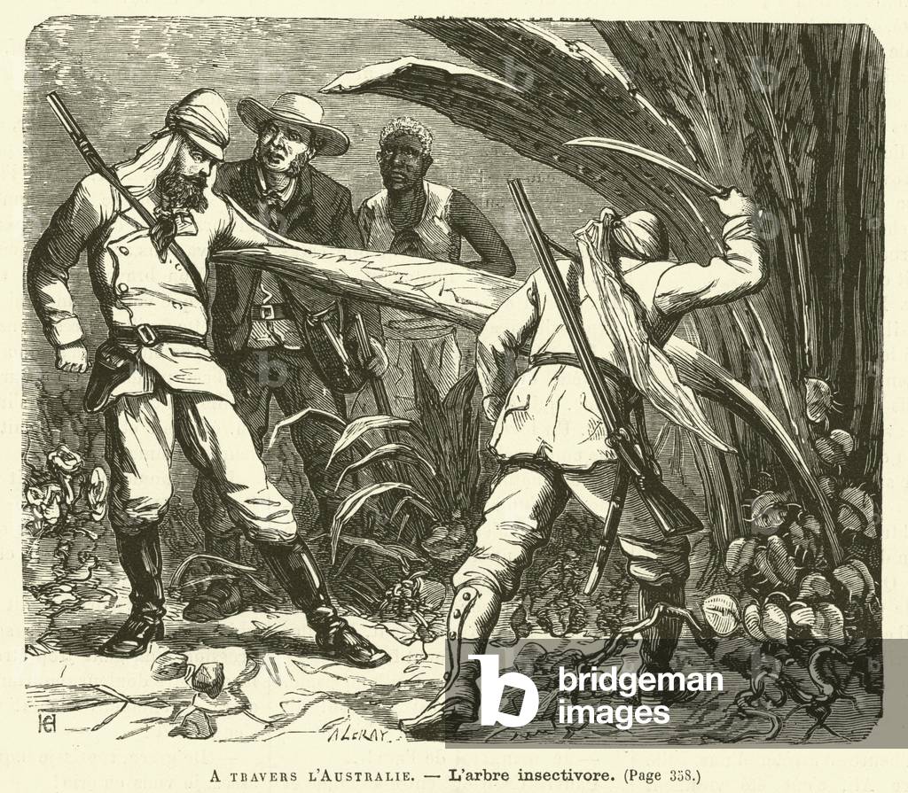 "A Travers L'Australie (Gravur)" 1801 von French School, b/w