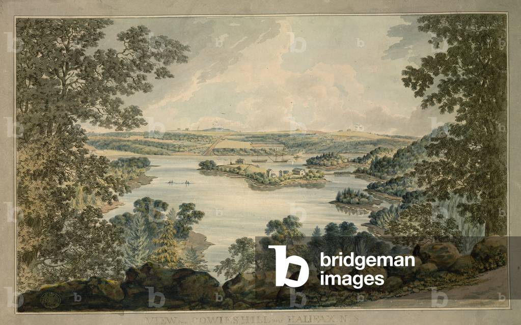 Vista dalla collina di Cowie's