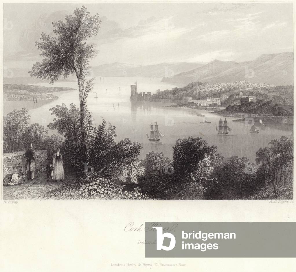 "Cork River in Irland (Gravur)" von English School