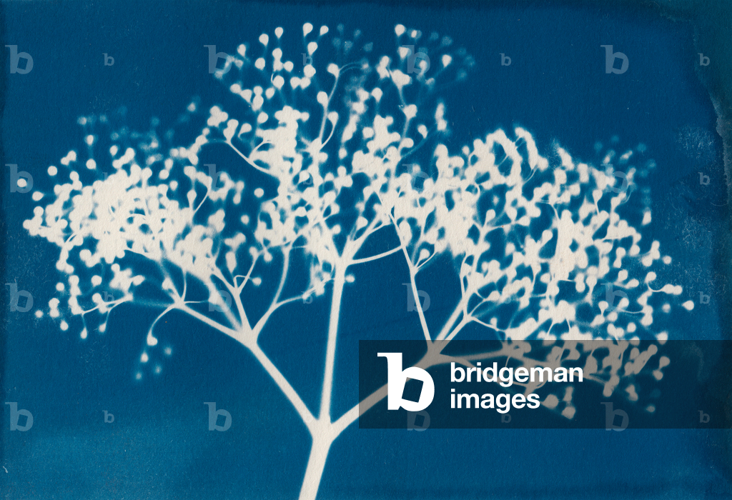 Briefe, 2014 (Holzschnitt auf Papier)