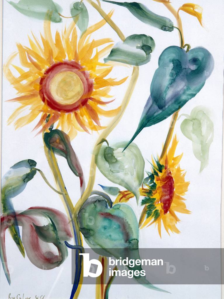 Girasoli, 1988 (acquerello)