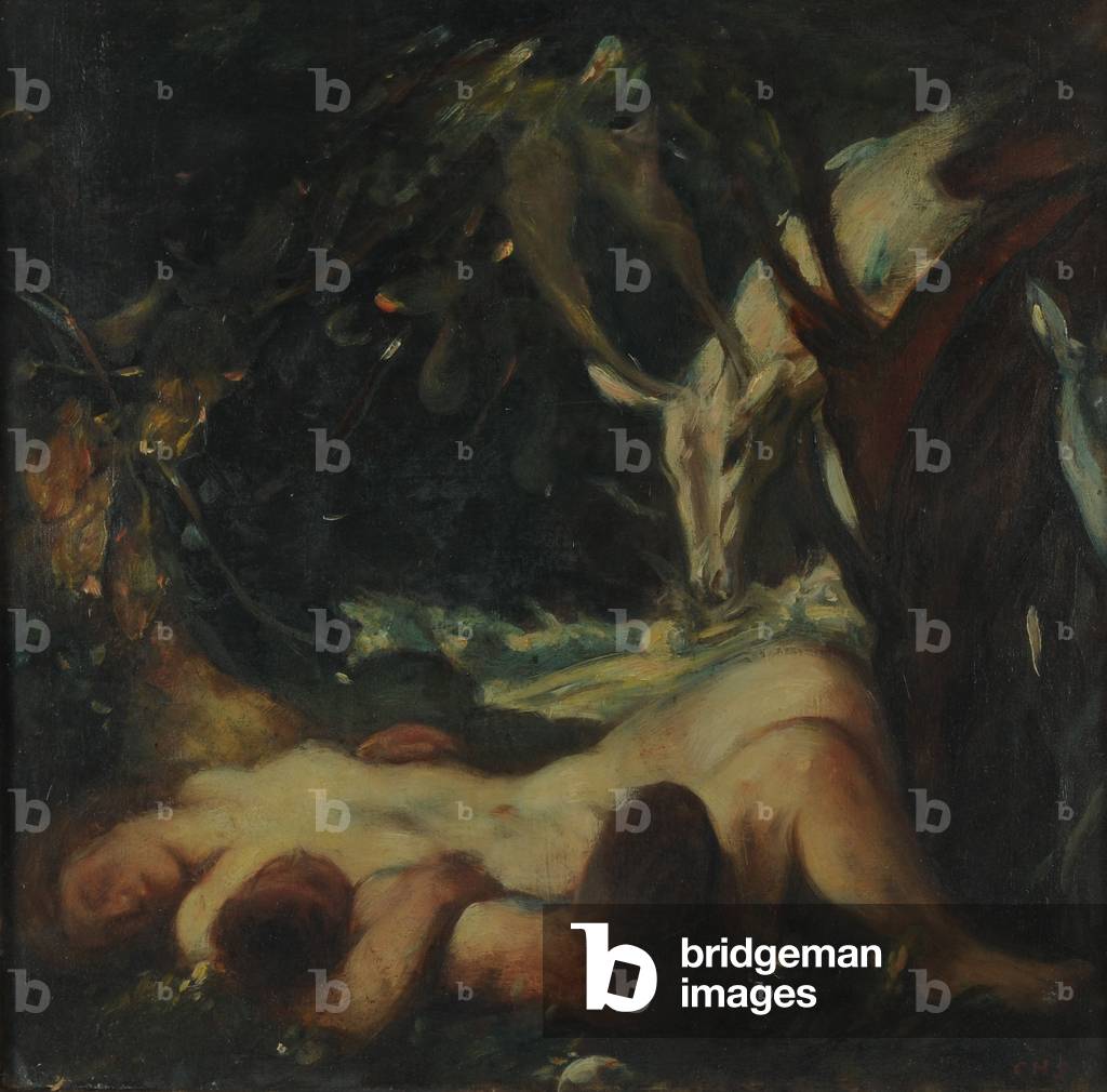 studio per il dormire legna ninfa, 1903-06 (olio su tela)