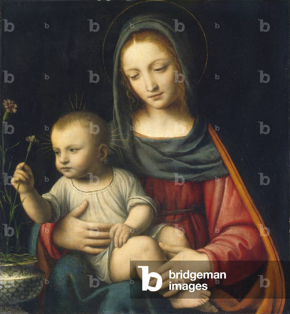 Bild von Gemälde "Die Madonna der Nelke", c.1515 von Bernardino Luini