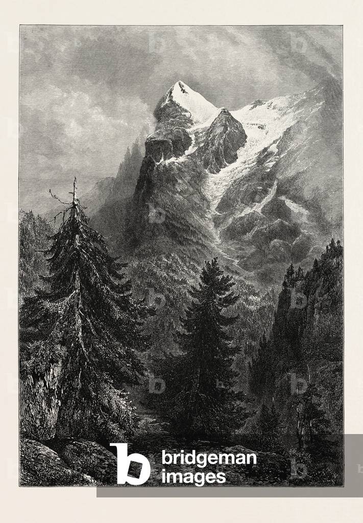 Bild von Gravur "Die Eiger"