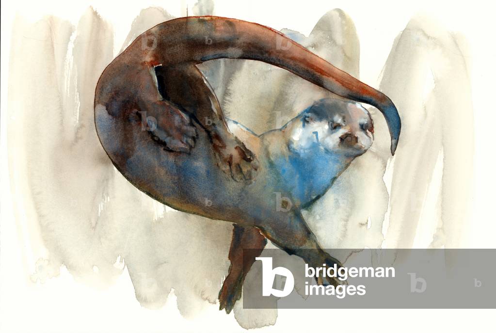 Image of Drawing depicting A Change of Direction 2014 by Mark Adlington