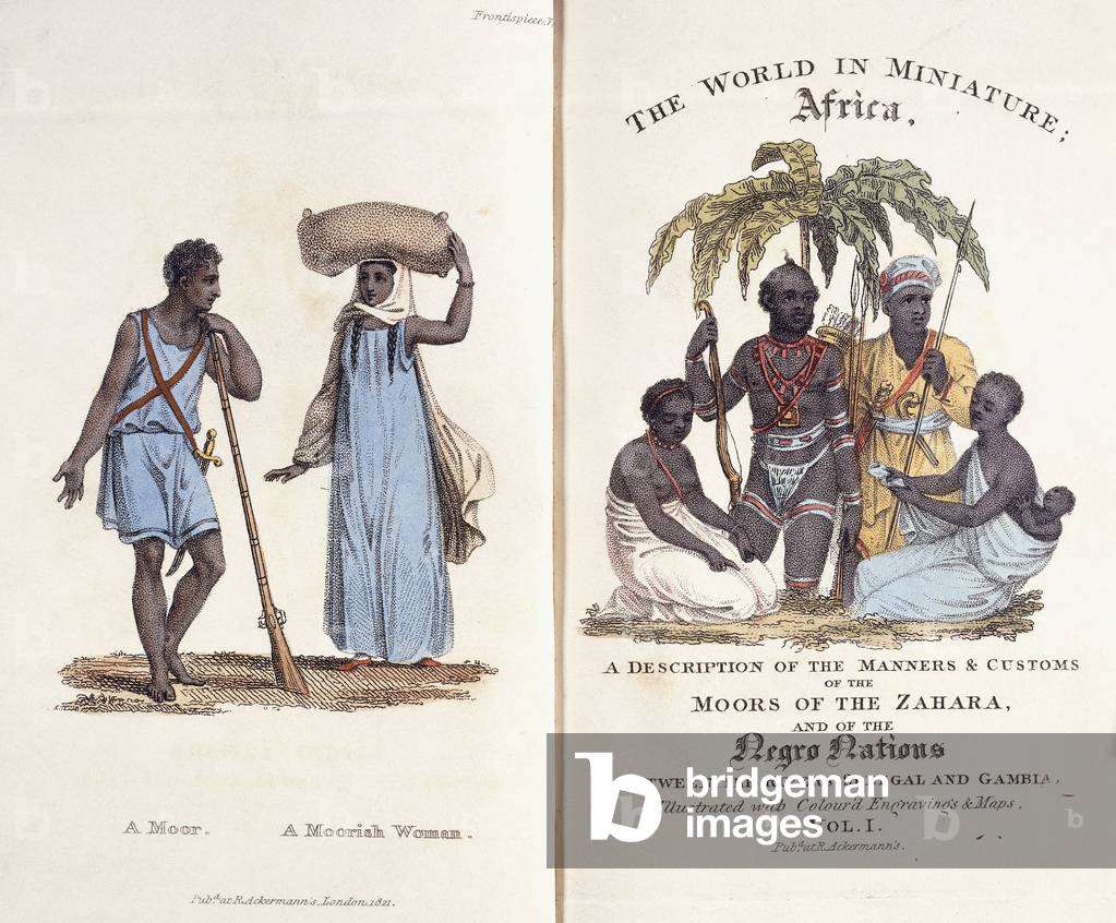 Immagine di Incisione "Frontespizio e frontespizio illustrati del Volume I di «Il mondo in miniatura: Africa»"
