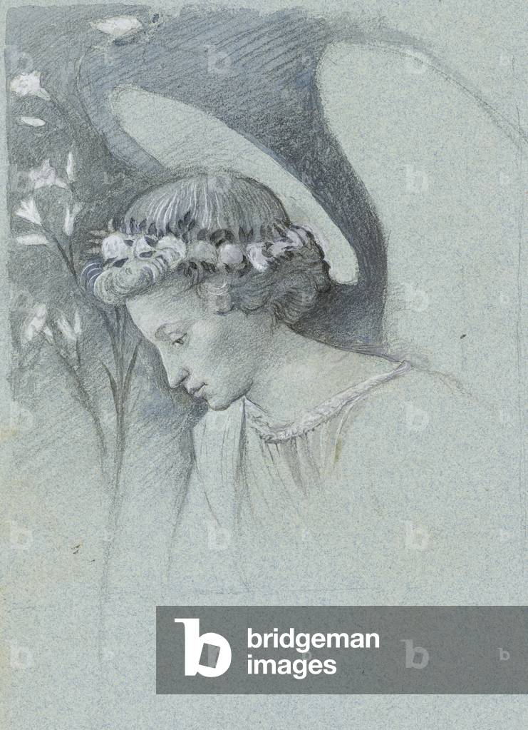 Bild von Zeichnung "Studie über den Kopf des Engels Gabriel in Filippo Lippis „Der Ankündigende Engel“" 1870 v