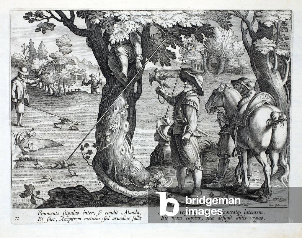 Catturatori di uccelli che utilizzano canne con anelli per catturare uccelli, illustrazione da 'Venationes, Fe