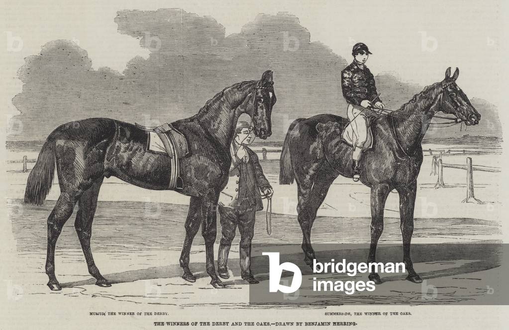 "I vincitori del Derby e delle querce (incisione)" 1859 di Benjamin Herring, b/w