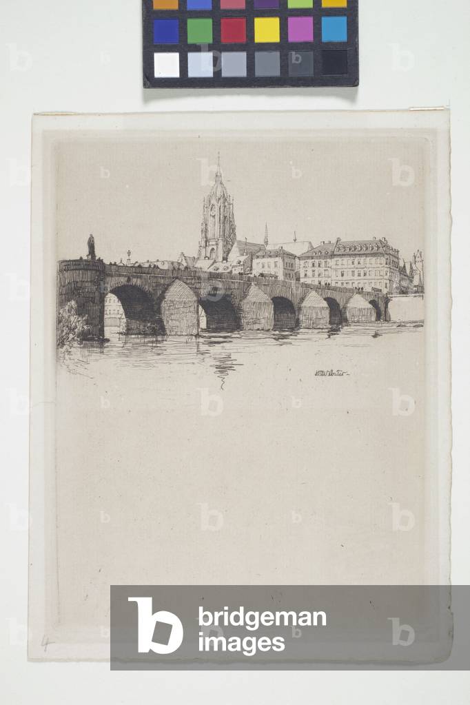 Image of Engraving depicting Altemain Brücke by Herman Armour Webster