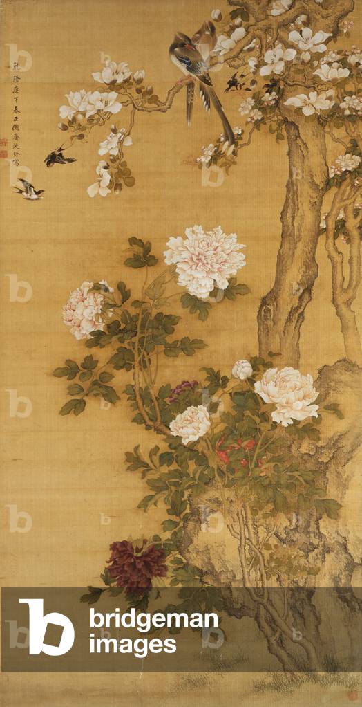 Immagine di Dipinto "Peonie" 1701 di Shen Quan