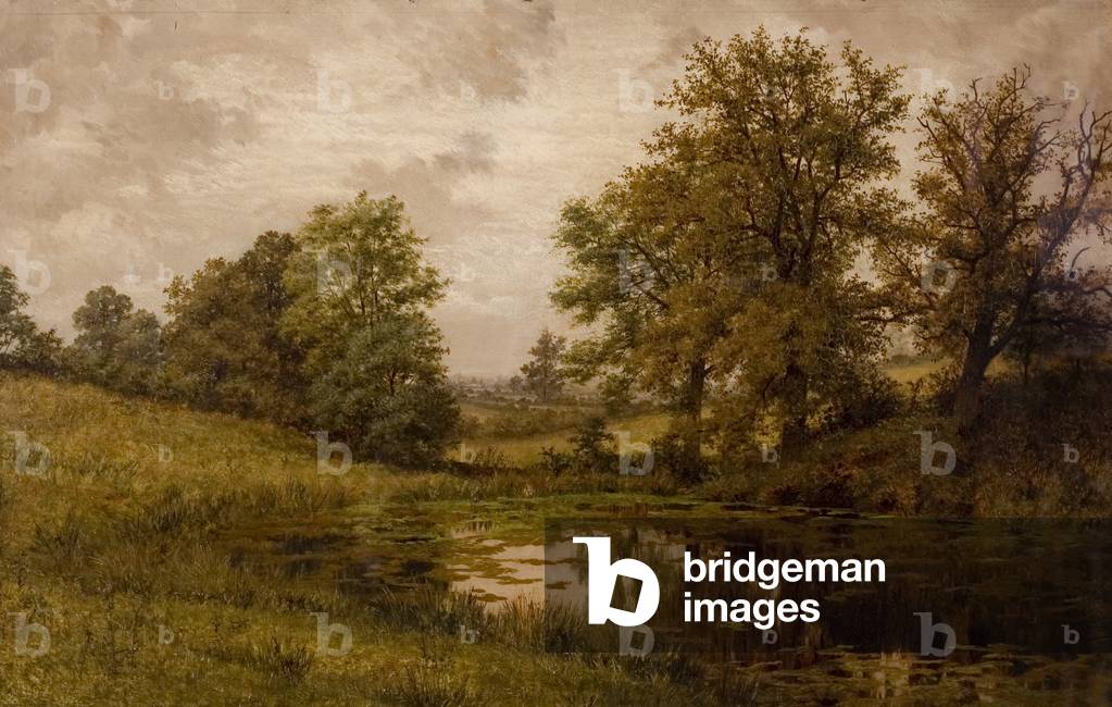 Teich in der Nähe von Whittem's Farm, in der Nähe von Coundon, Ende des 19. bis frühen 20. Jahrhunderts (Öl au
