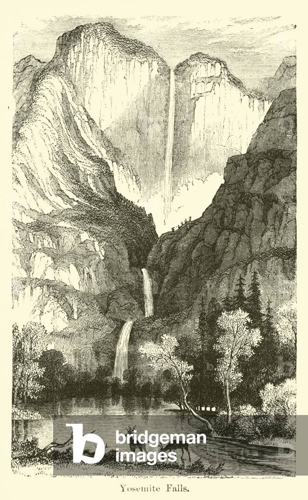 "Yosemite Falls (Gravur)" von American School, b/w