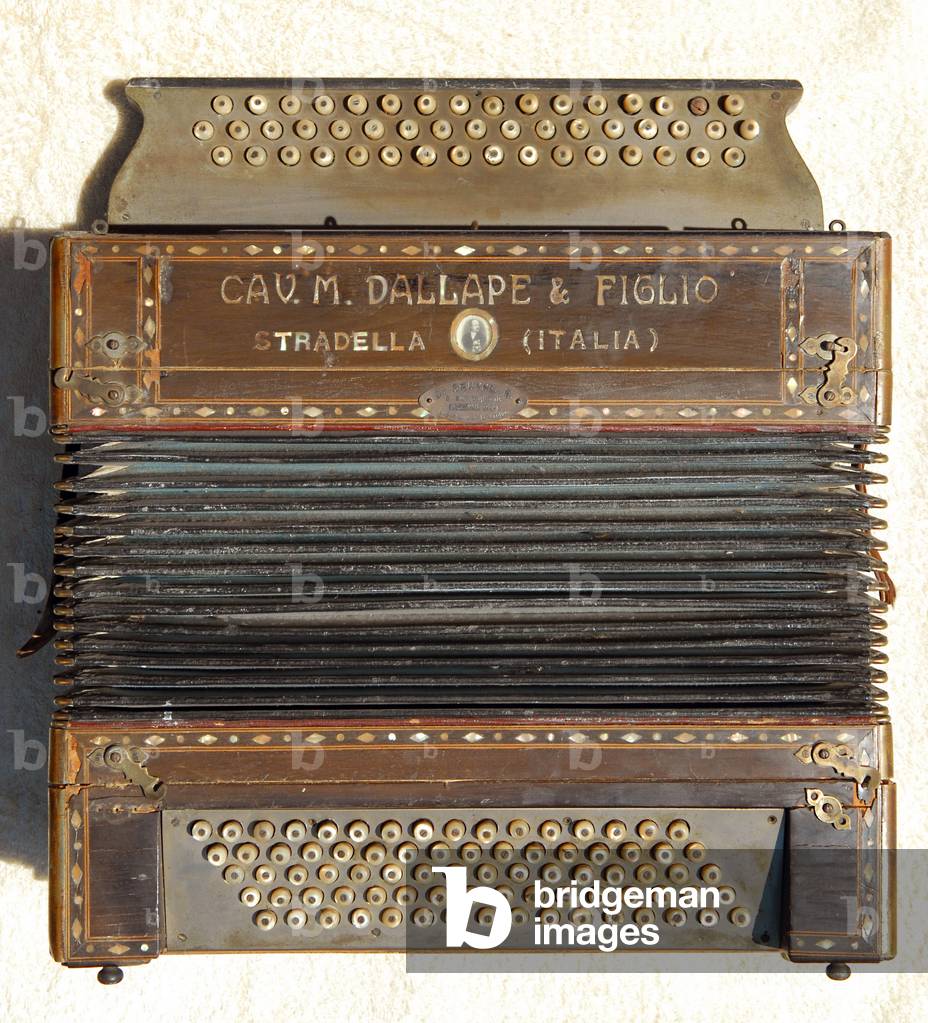 "Accordeon" von Catherine Shepard